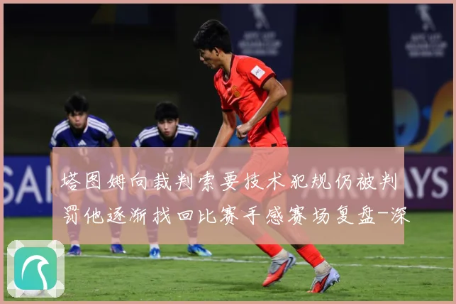 塔图姆向裁判索要技术犯规仍被判罚他逐渐找回比赛手感赛场复盘-深度解析