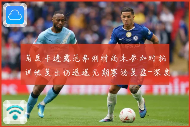 乌度卡透露范弗利特尚未参加对抗训练复出仍遥遥无期赛场复盘-深度解析