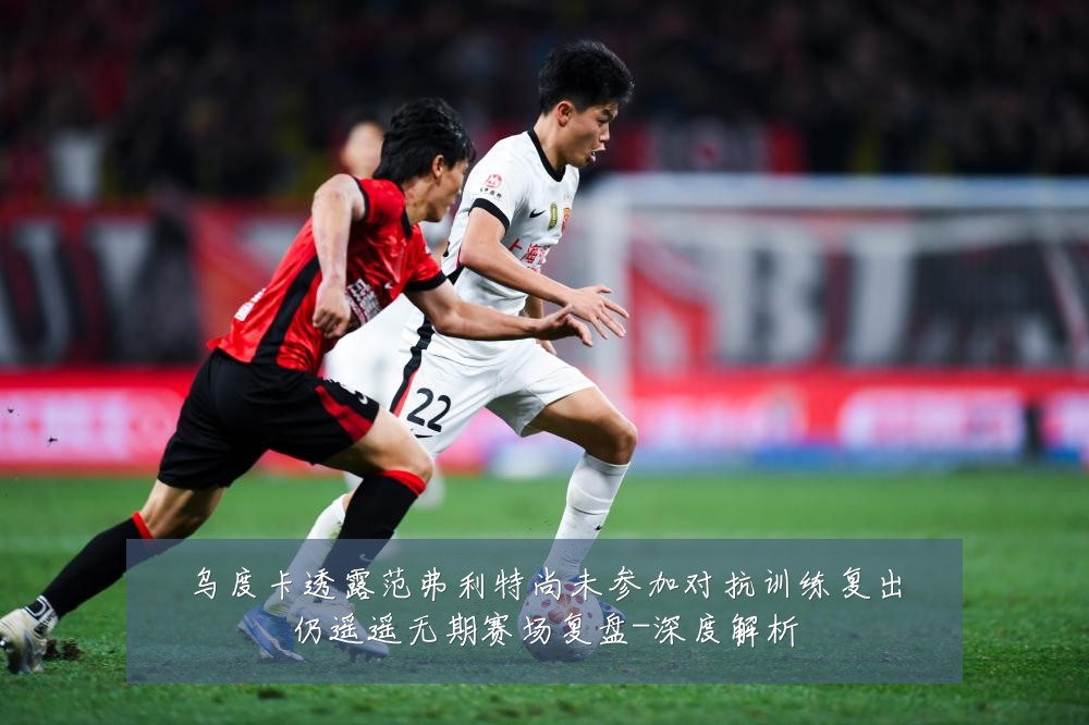 乌度卡透露范弗利特尚未参加对抗训练复出仍遥遥无期赛场复盘-深度解析