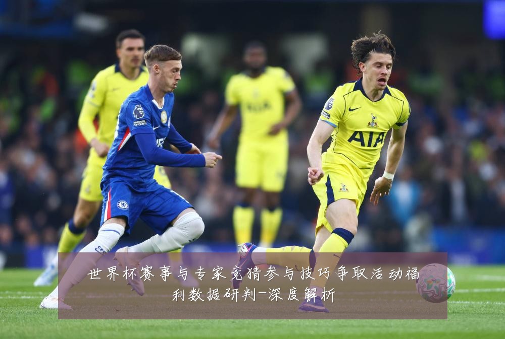 世界杯赛事与专家竞猜参与技巧争取活动福利数据研判-深度解析